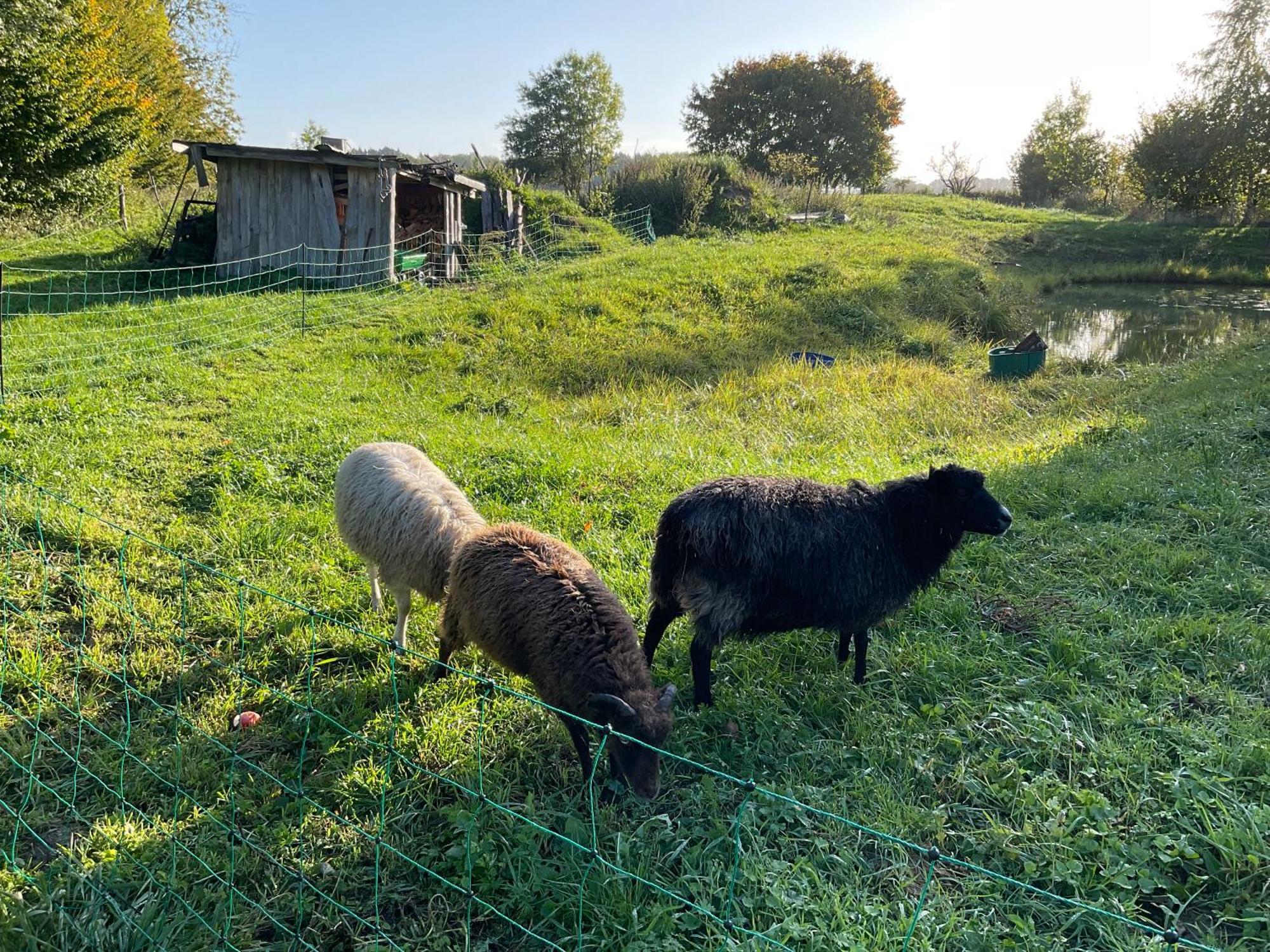 Ferienhaus Raabe Splietsdorf ภายนอก รูปภาพ